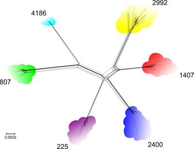 Comparative Whole-Genome Analysis of Neisseria gonorrhoeae Isolates Revealed Changes in the Gonococcal Genetic Island and Specific Genes as a Link to Antimicrobial Resistance